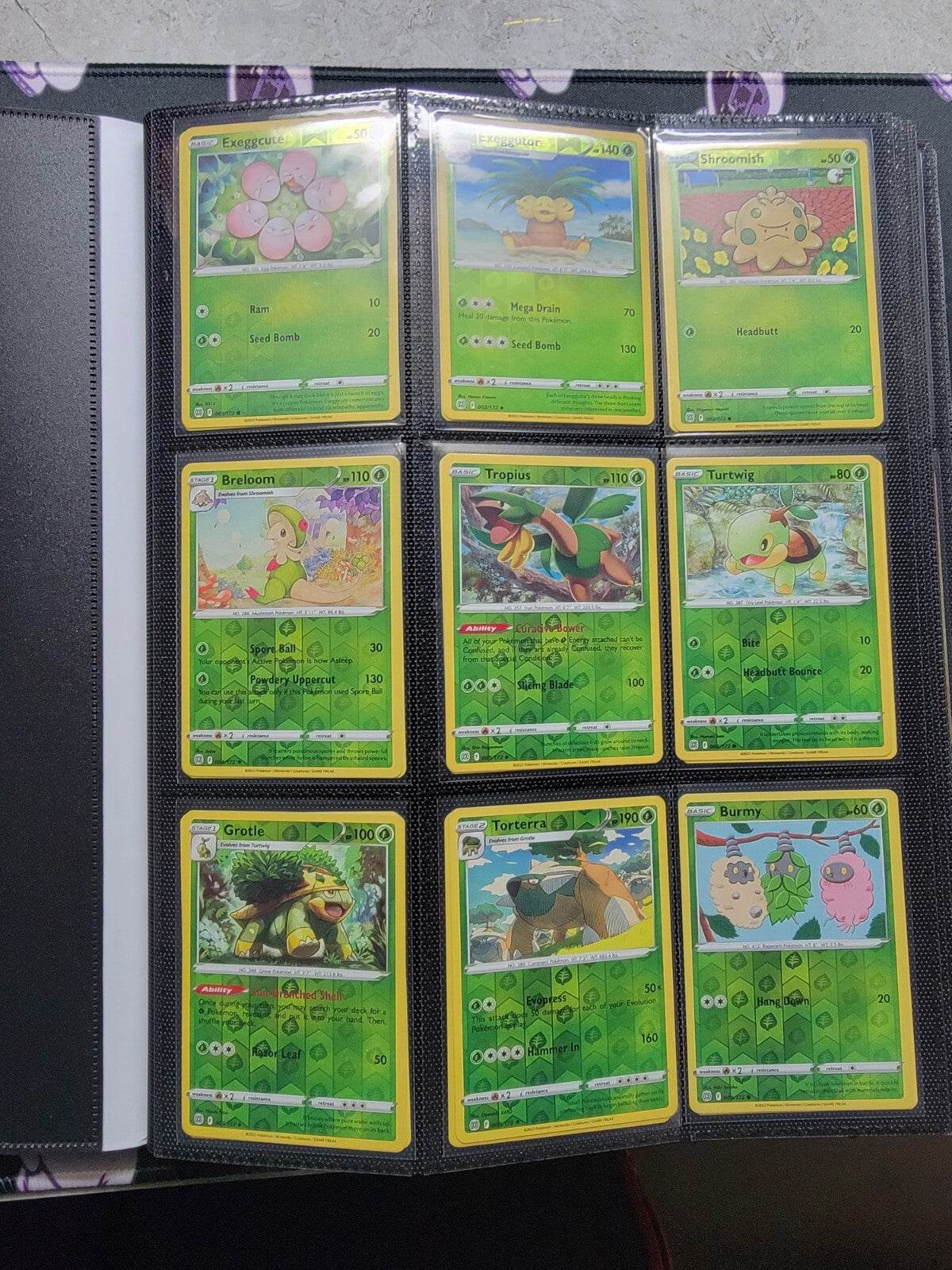 Pokemon Brilliant Stars Master Set 100 % Binder Included * Read Description - MissingNo.