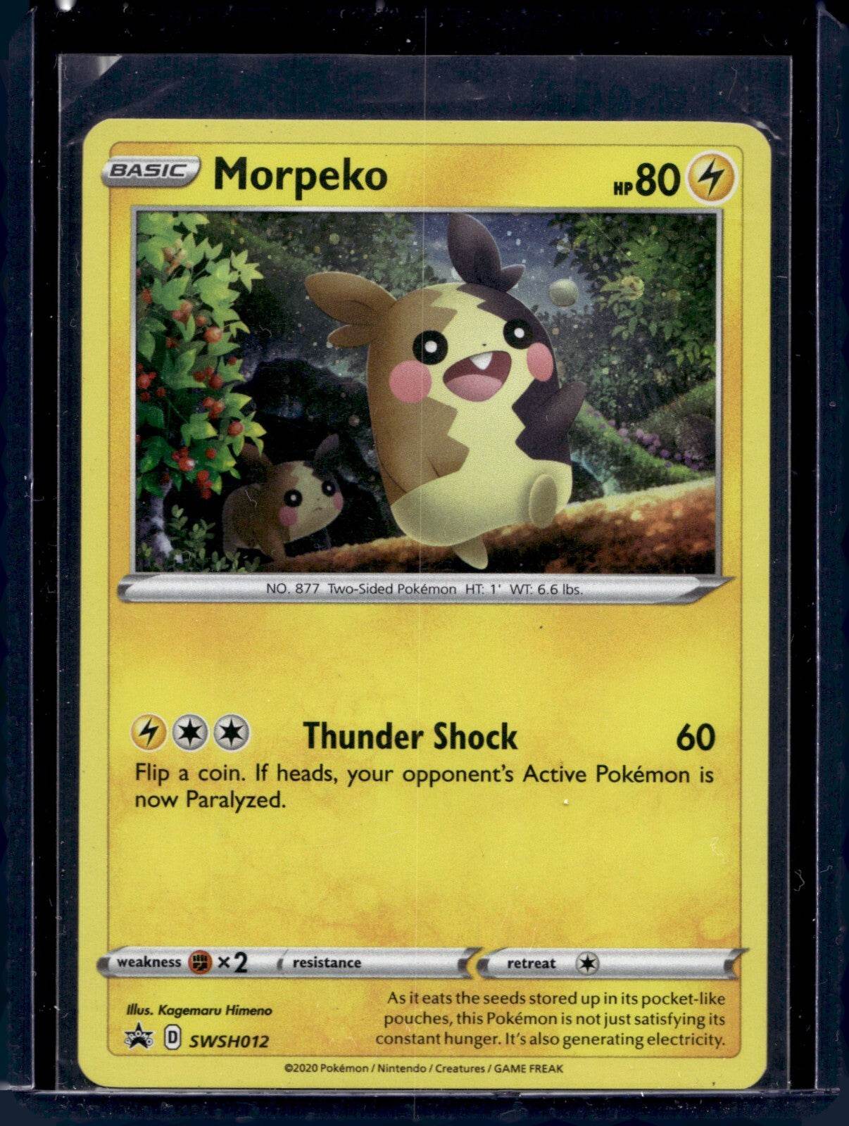 Sword & Shield Promo (Choose your card) - MissingNo.