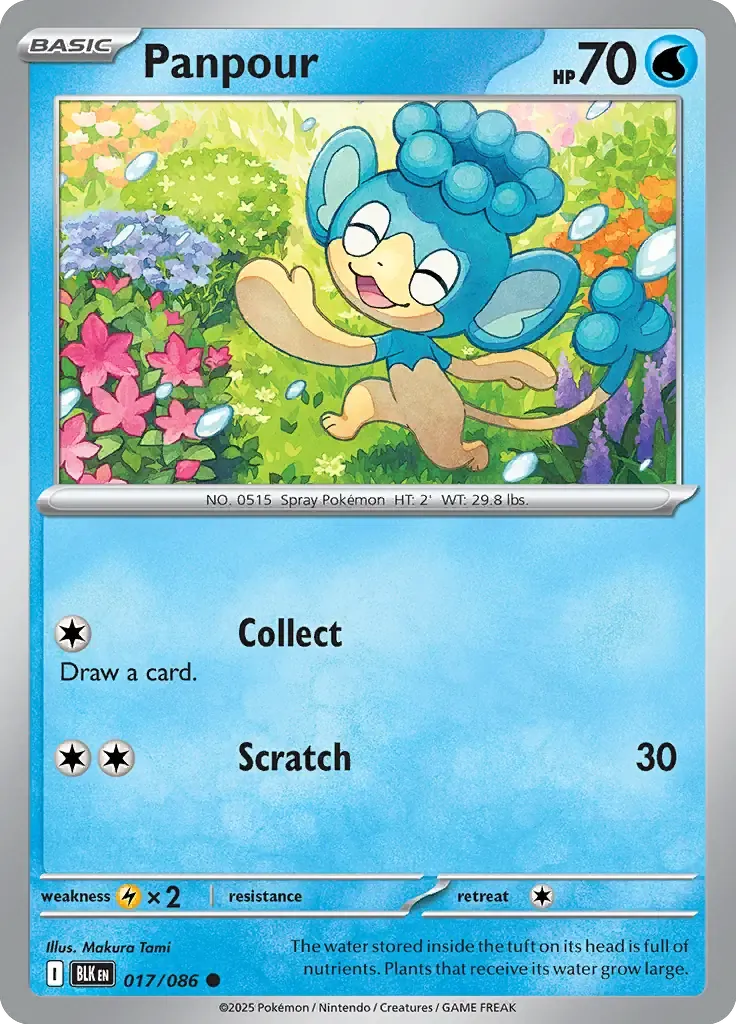 Panpour 017/086 Master Ball Holo Common