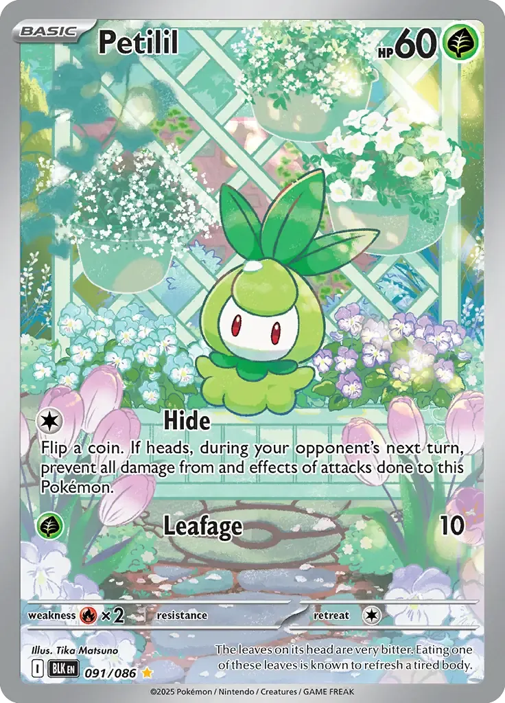 Petilil 091/086 Illustration Rare