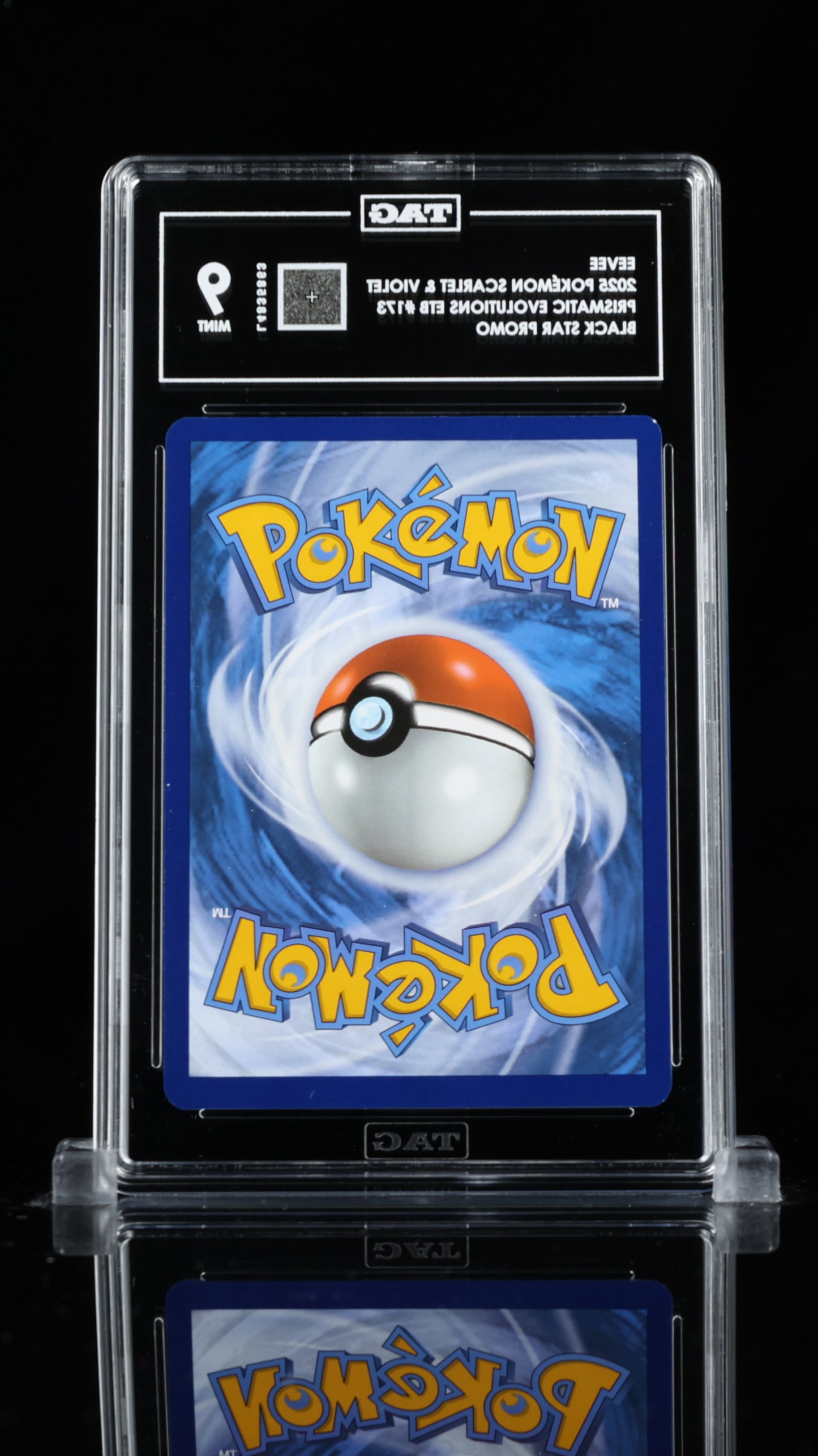 EEVEE 173 - TAG 9 - MissingNo.