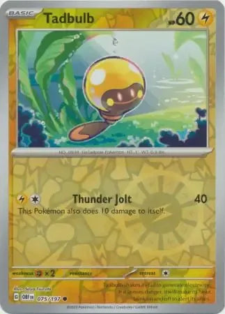 Tadbulb 75/197 Reverse Common