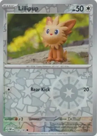 Lillipup 170/197 Reverse Common