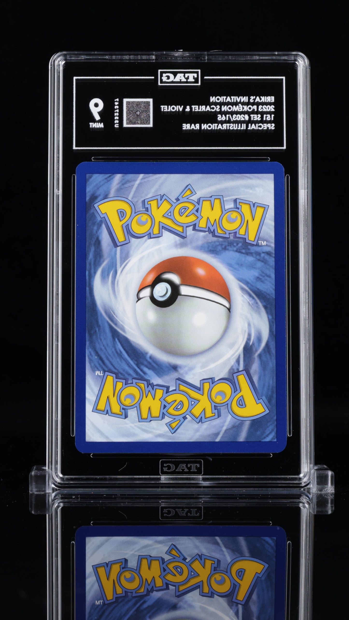 Erika's Invitation 203 TAG 9 - MissingNo.