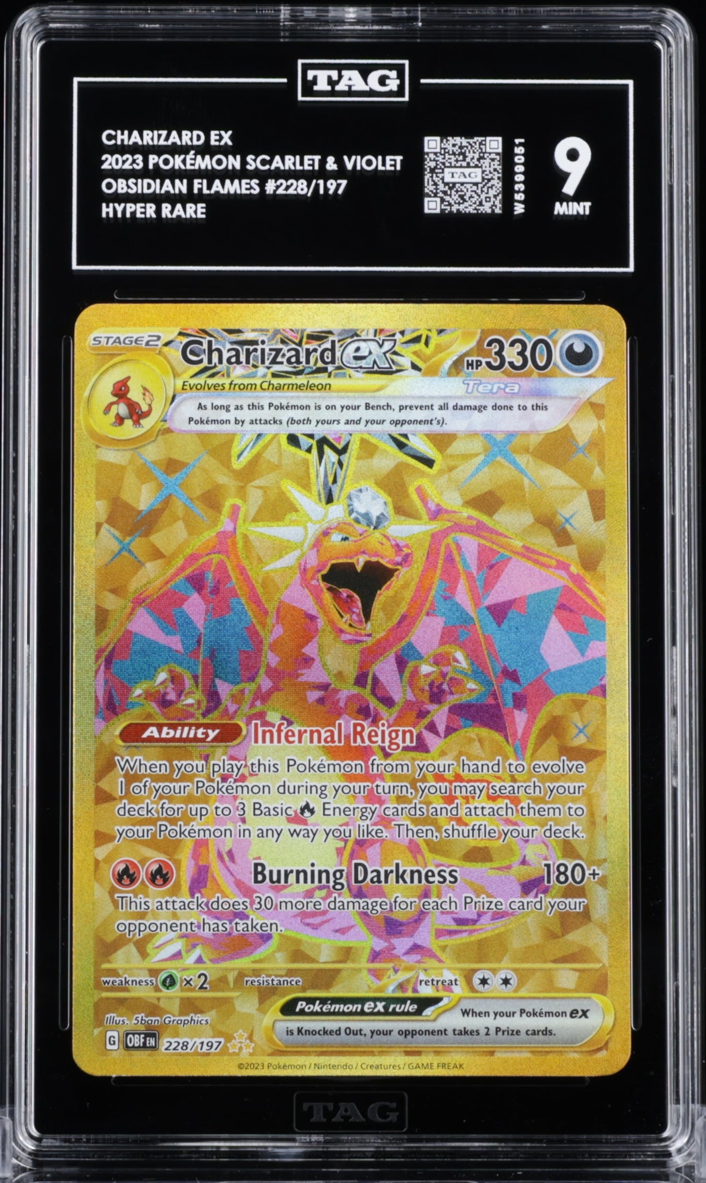 Charizard EX 228/197 TAG 9 - MissingNo.