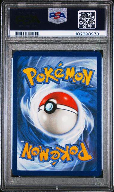 Charizard VMAX 074 PSA 10 - MissingNo.