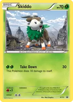 Skiddo XY11