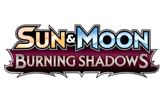 Burning Shadows