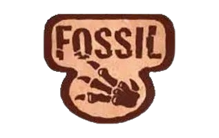 Fossil