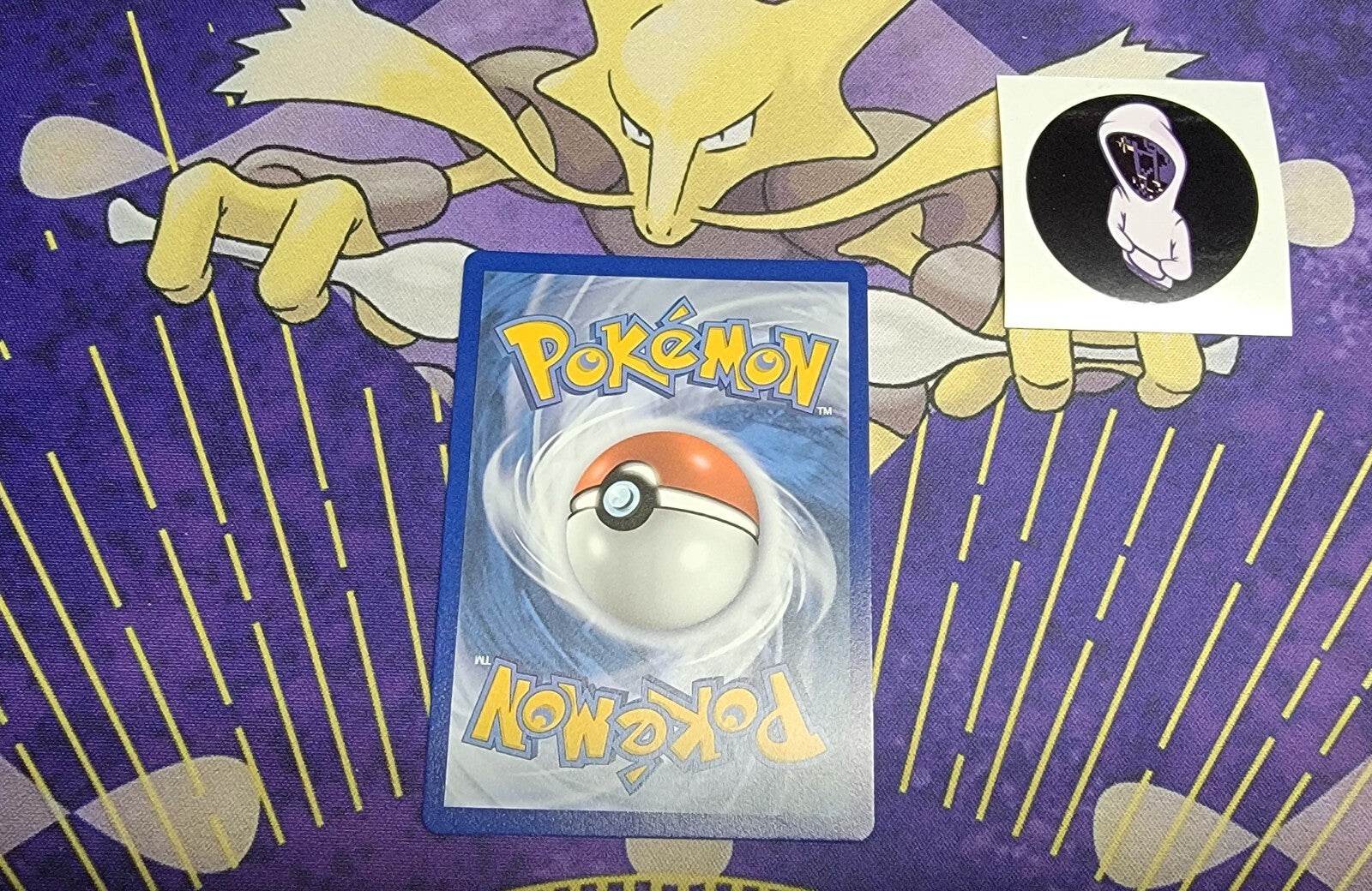 Flannery  - 215/198 - Pokemon Chilling Reign Sword & Shield Secret  Rare NM - MissingNo.