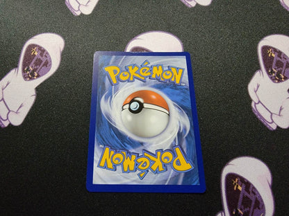 Briar 163/142 Secret Rare Supporter Trainer Card - Stellar Crown - NM - MissingNo.