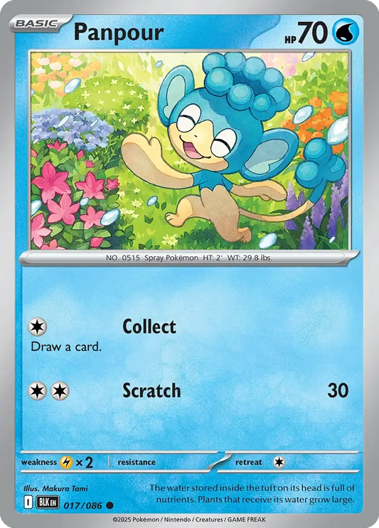 Panpour 017/086 Master Ball Holo Common