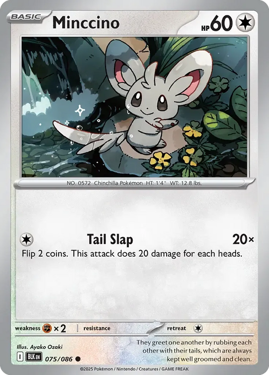 Minccino 075/086 Poké Ball Holo Common