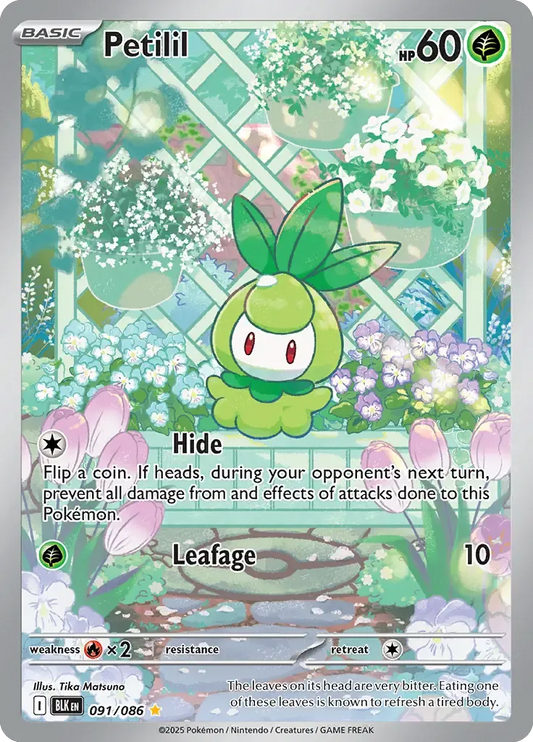 Petilil 091/086 Illustration Rare