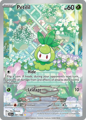 Petilil 091/086 Illustration Rare