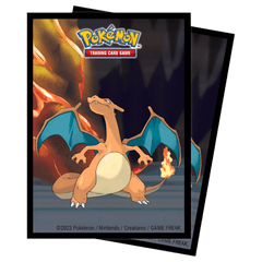 Charizard Sleeve (65)