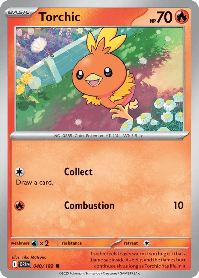 Torchic 40/182 Common - MissingNo.