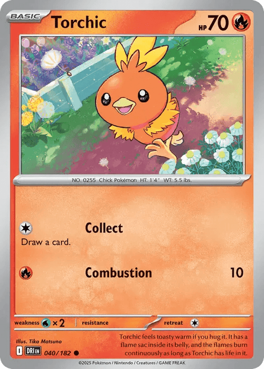 Torchic 40/182 Common - MissingNo.