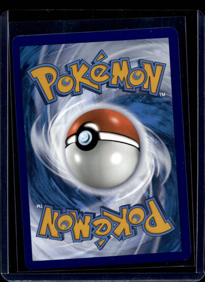 Skwovet 205/91 Shiny Rare - MissingNo.