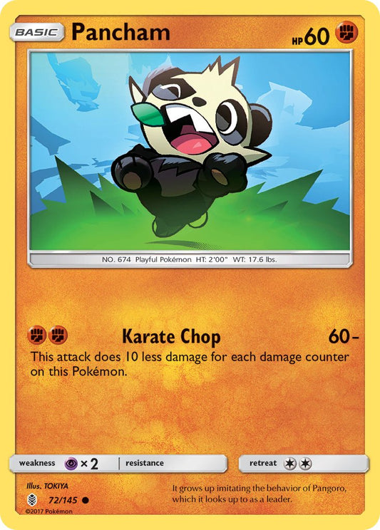 Pancham 72/145 Common - MissingNo.