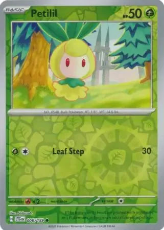 Petilil 6/159 Reverse Common