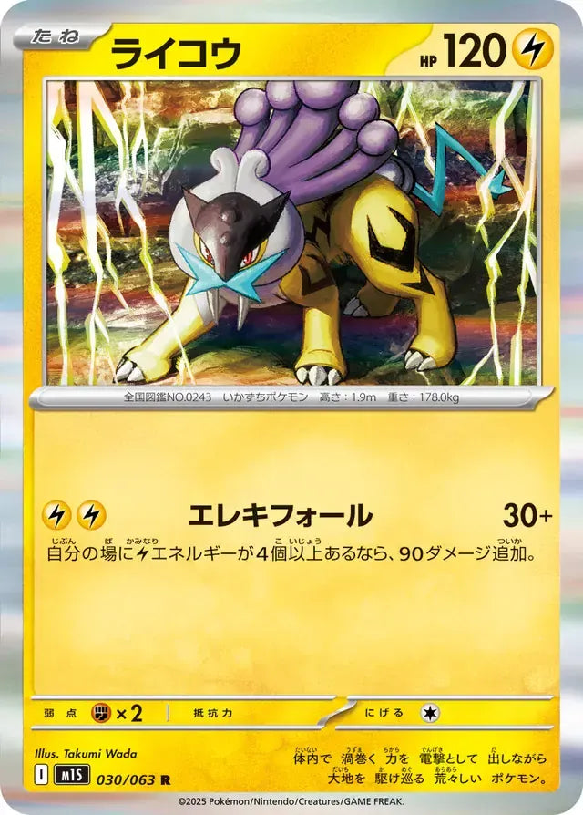 Raikou 030/063