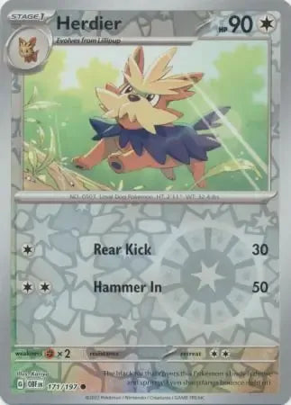 Herdier 171/197 Reverse Common