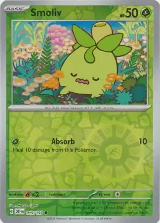 Smoliv 19/197 Reverse Common