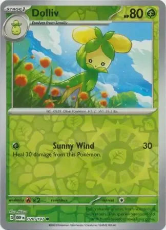 Dolliv 20/197 Reverse Common