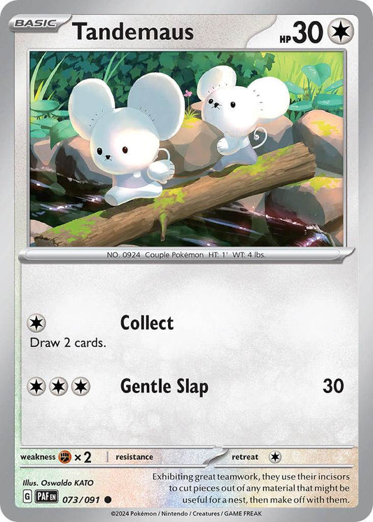 Tandemaus 73/91 Reverse Common - MissingNo.