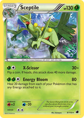 Sceptile 8/116 Holo Rare