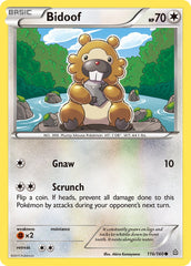 Bidoof 116/160 Reverse Common (MP)