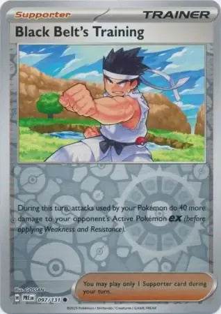 Black Belt's Training 97/131 Poké Ball Holo Common - MissingNo.