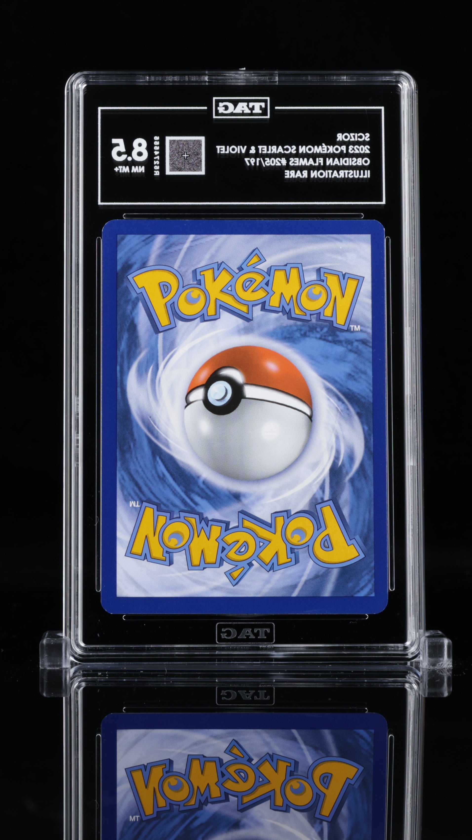 Scizor 205 TAG 8.5 - MissingNo.