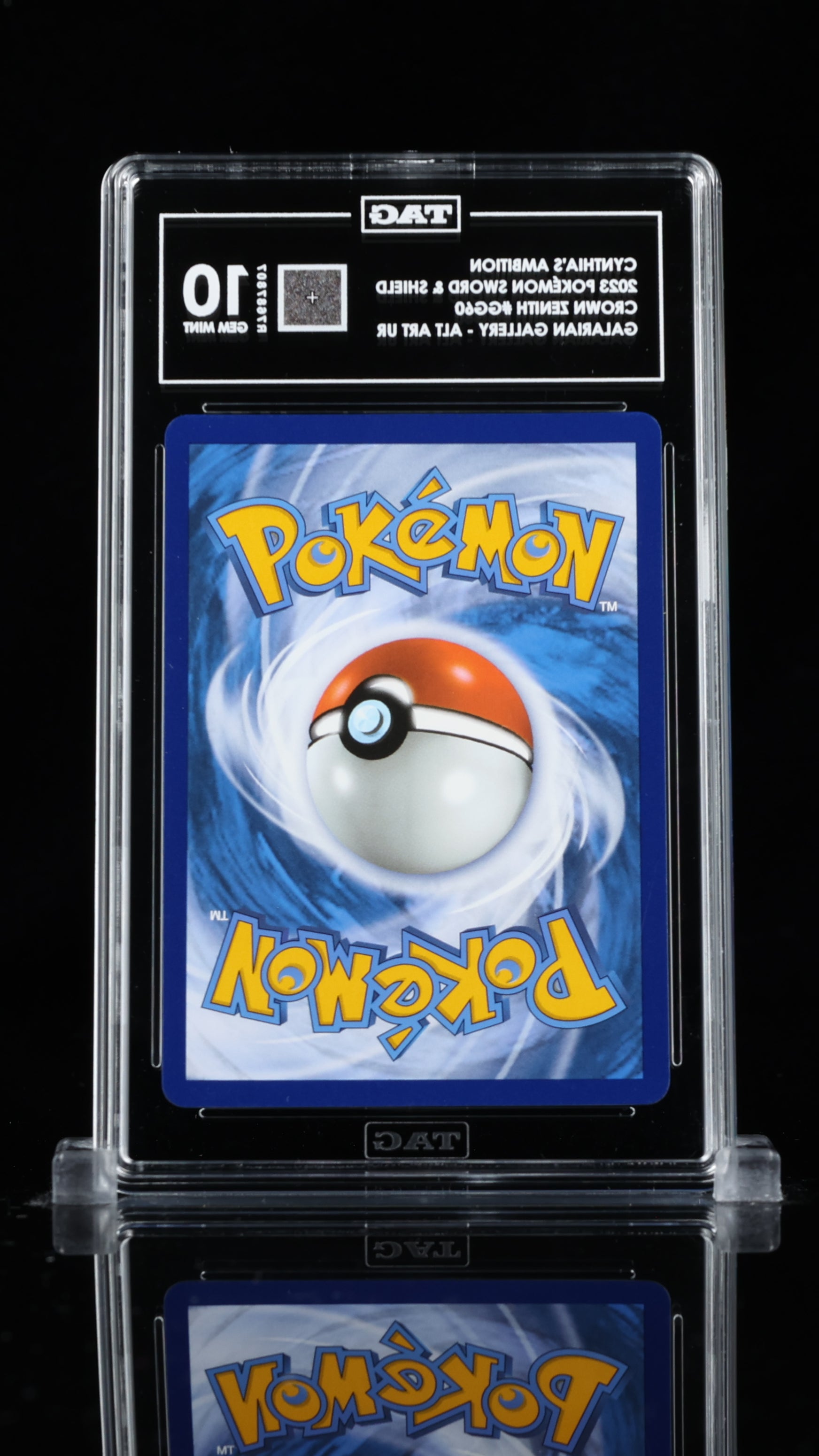 Cynthia's Ambition GG60/GG70 - TAG 10 - MissingNo.