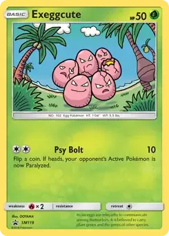 Zygarde Prerelease SM48