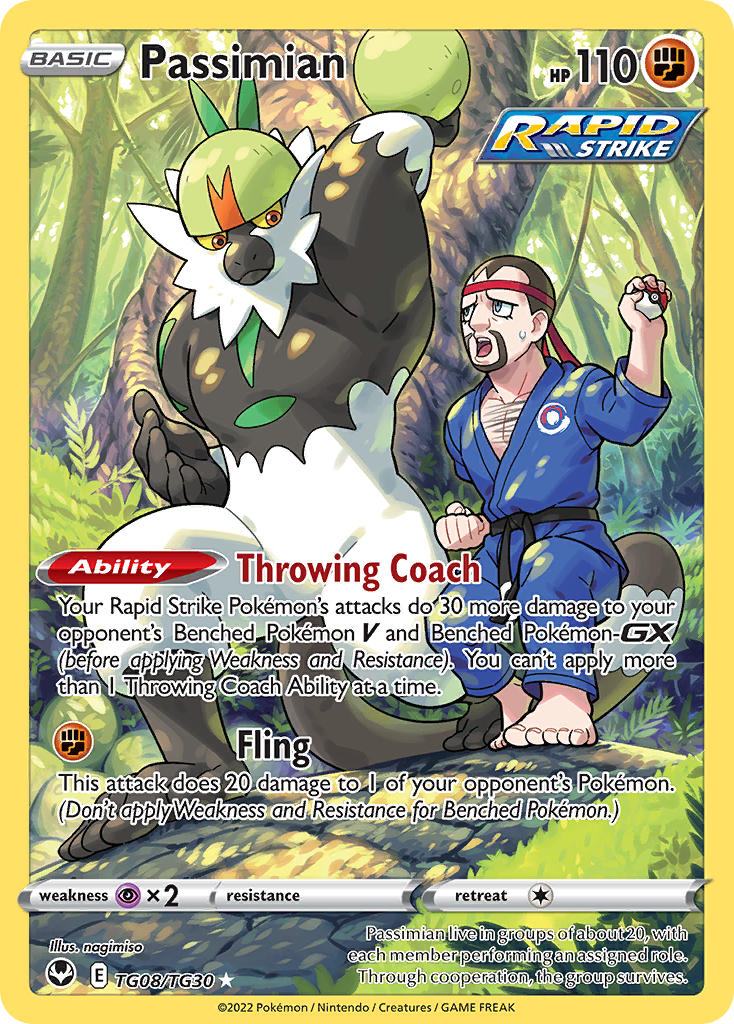 Passimian TG08/TG30 Holo Rare