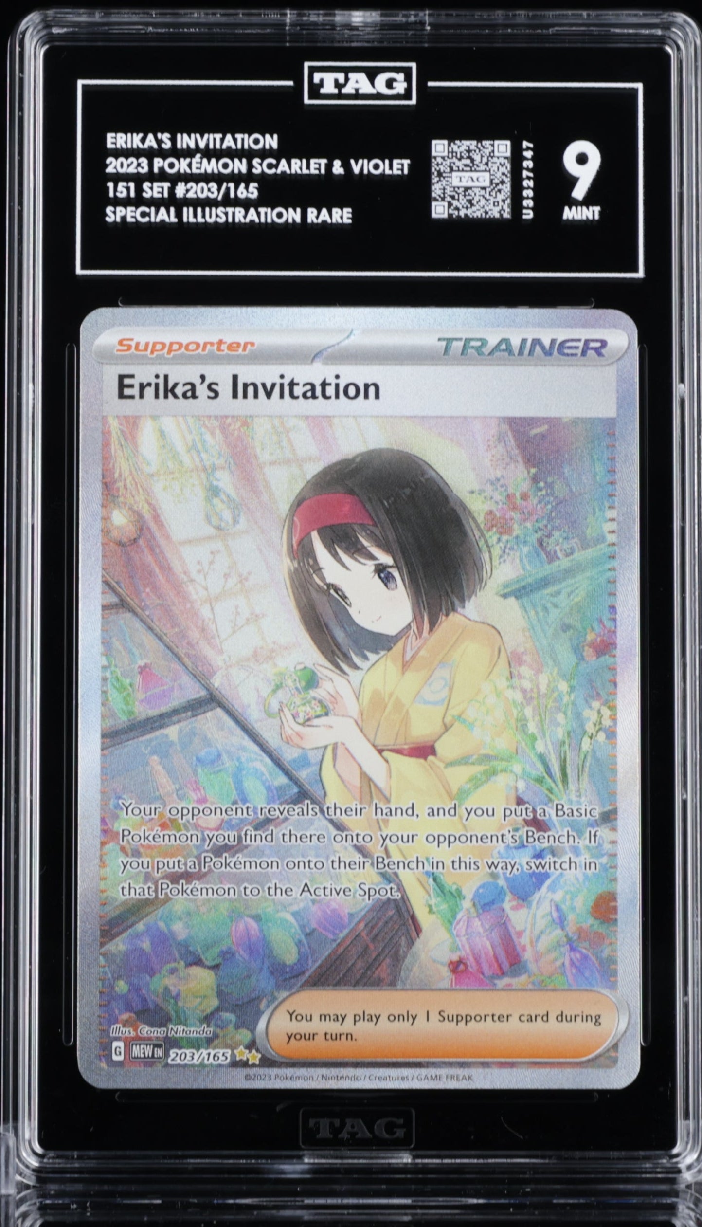 Erika's Invitation 203 TAG 9 - MissingNo.