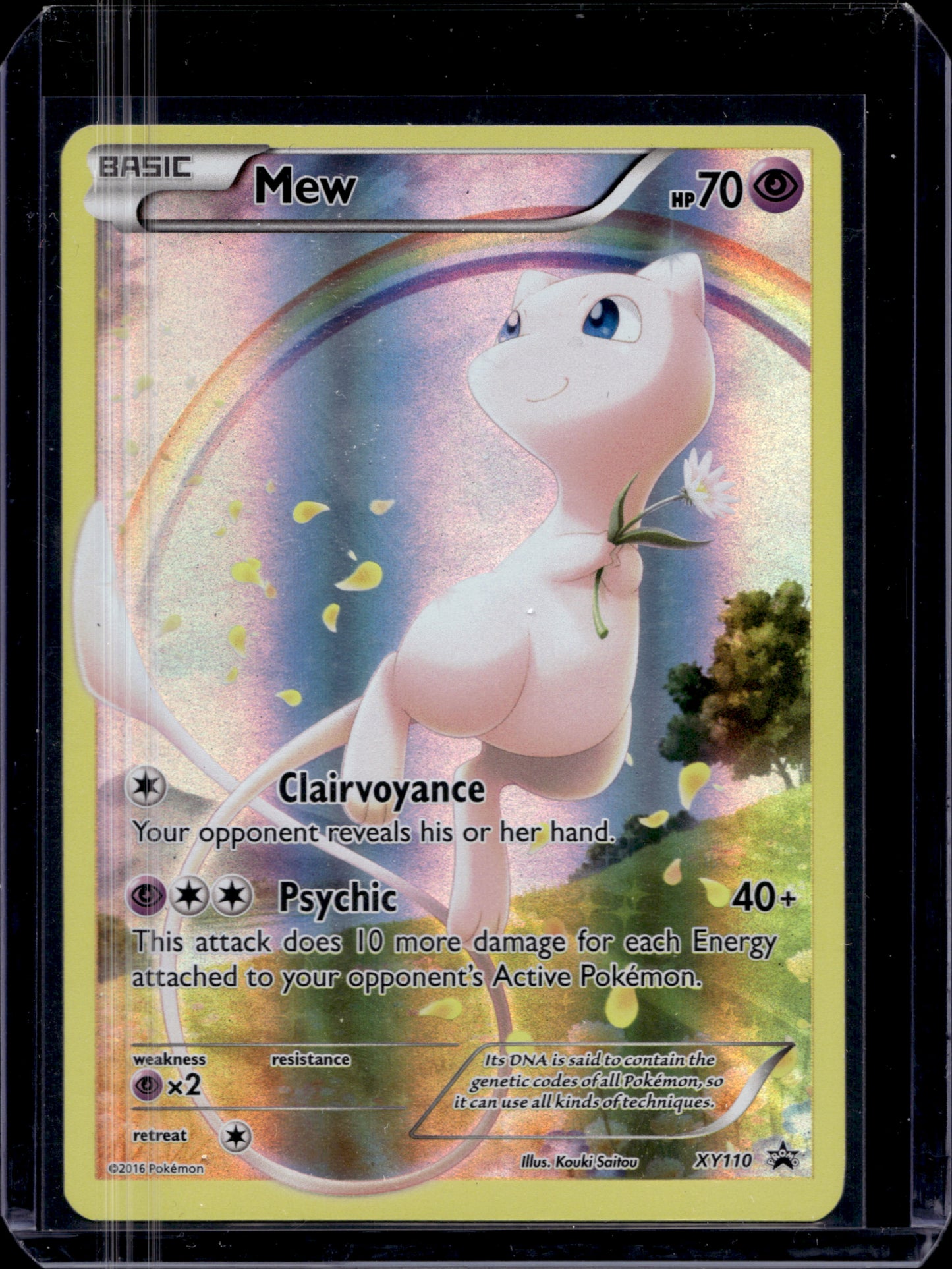 MissingNo. Black Pack