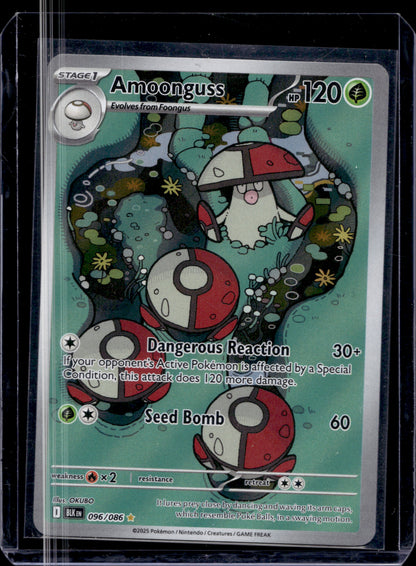 MissingNo. Black Pack