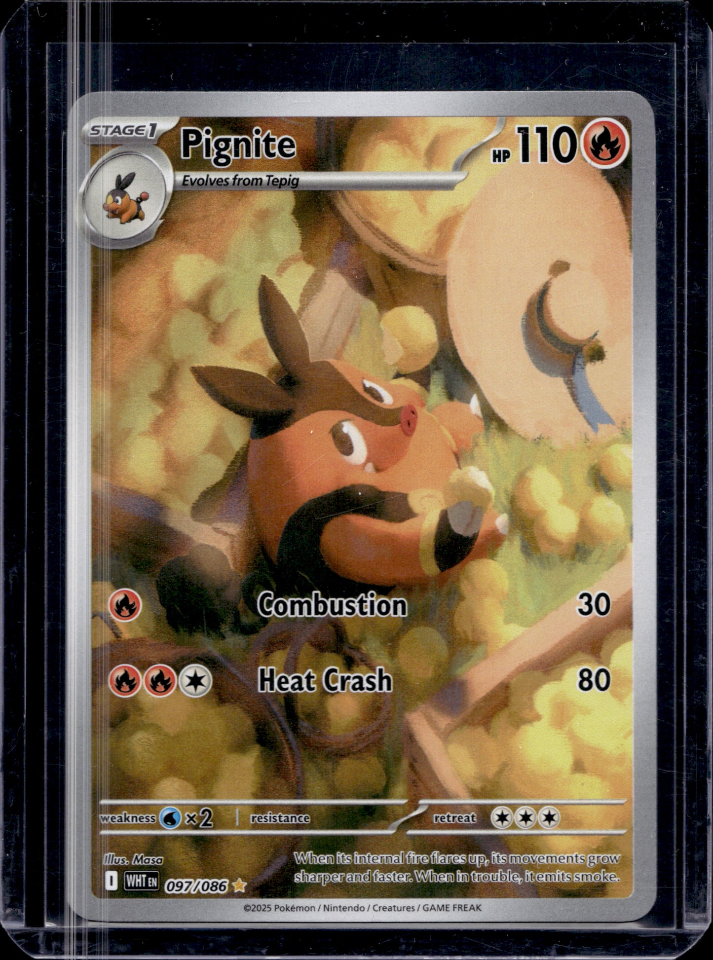 MissingNo. Black Pack