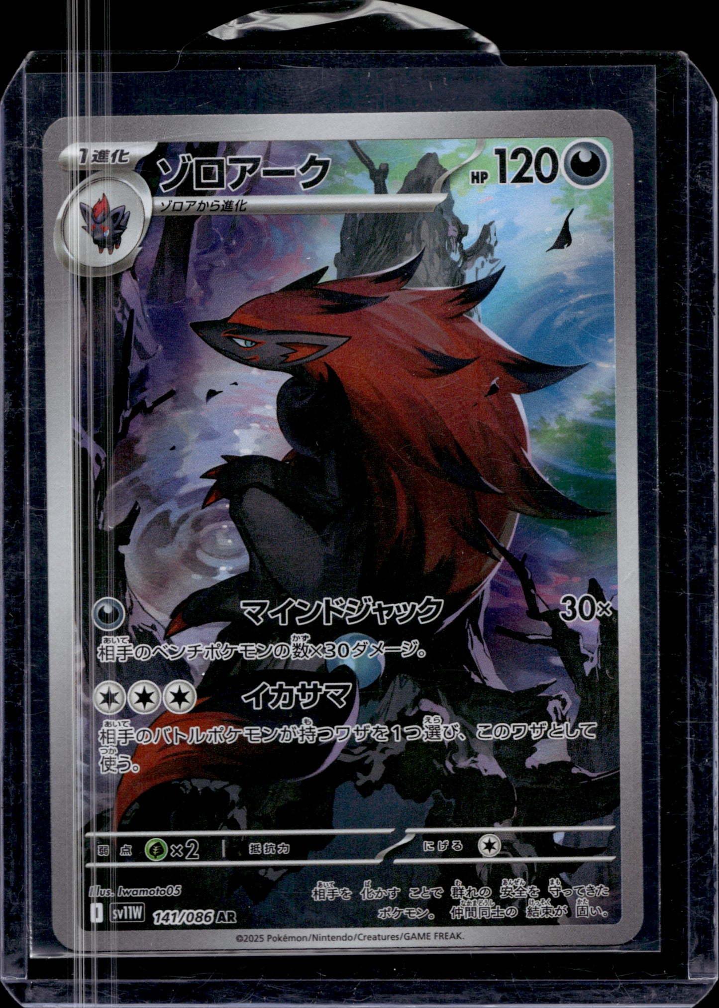 MissingNo. Black Pack