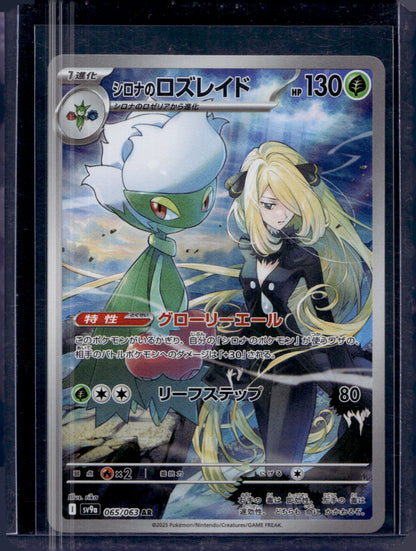 MissingNo. Black Pack