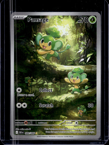 MissingNo. Black Pack