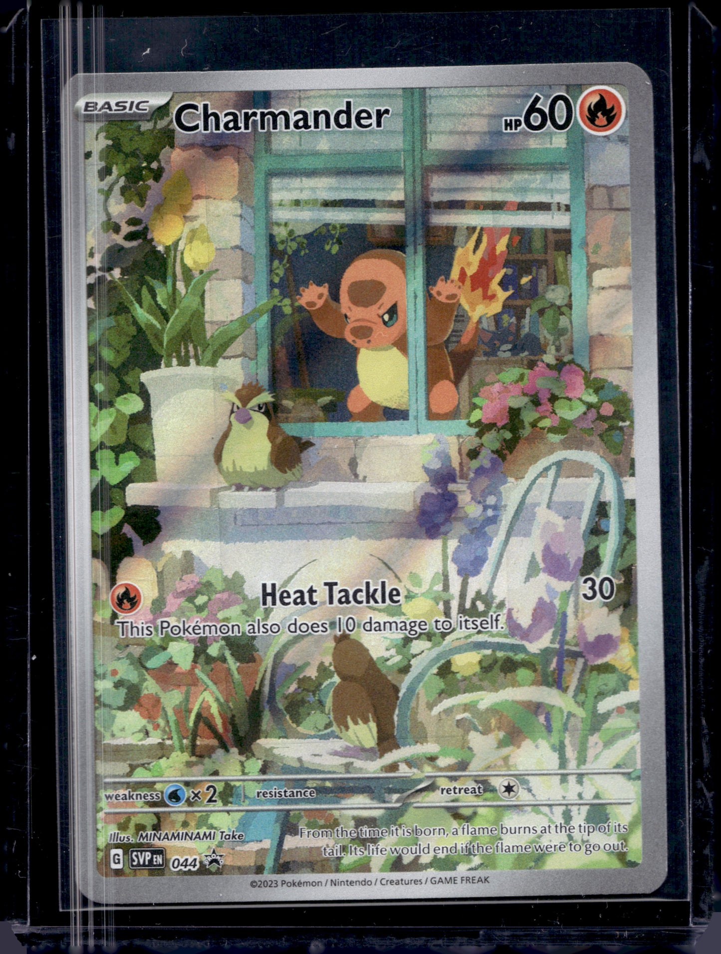 MissingNo. Black Pack