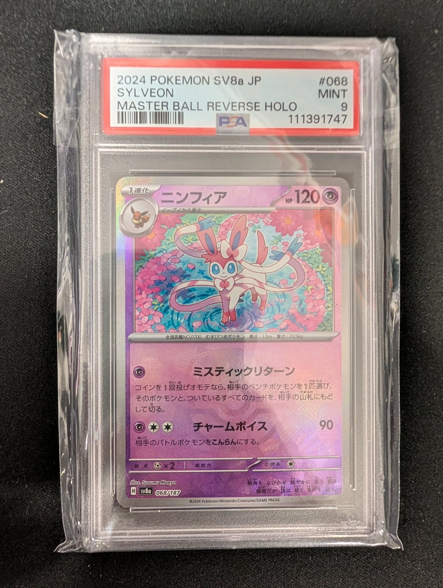 MissingNo. Black Pack