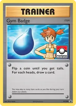 Gym Badge XY204