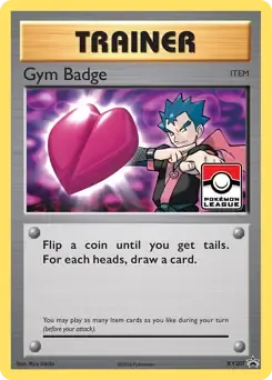 Gym Badge XY207