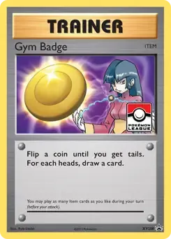 Gym Badge XY208