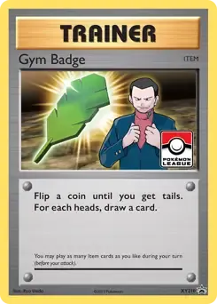 Gym Badge XY210